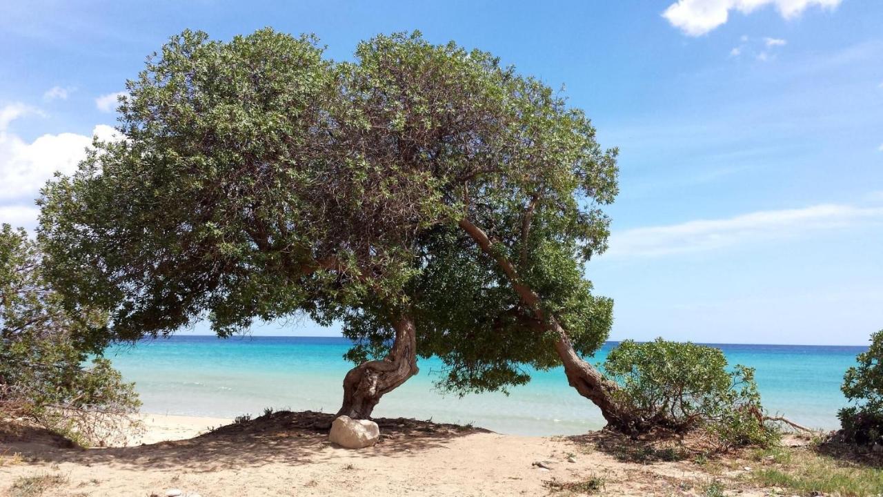 Anna'S House Near The Sandy Beach And With Wifi Avola Extérieur photo